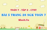 Bài 5 trang 28 SGK Toán 7 tập 2 Chân trời sáng tạo